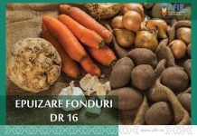 Interes major pentru DR-16 – Legume și cartofi