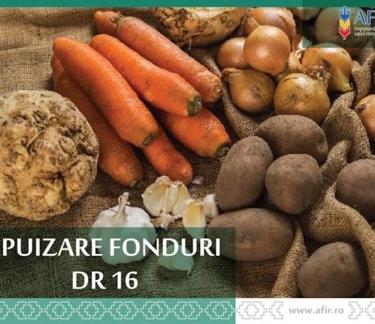 Interes major pentru DR-16 – Legume și cartofi