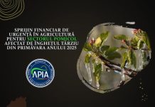 Sprijin financiar de urgență pentru sectorul pomicol afectat de înghețul târziu din primăvara anului 2025