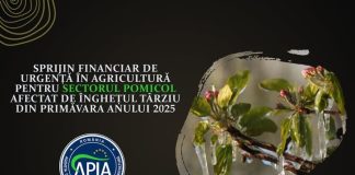 Sprijin financiar de urgență pentru sectorul pomicol afectat de înghețul târziu din primăvara anului 2025
