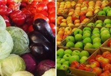 REZULTATE OBȚINUTE ÎN CONTROLUL REZIDUURILOR DE PESTICIDE DIN PLANTE ȘI PRODUSE VEGETALE