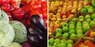 REZULTATE OBȚINUTE ÎN CONTROLUL REZIDUURILOR DE PESTICIDE DIN PLANTE ȘI PRODUSE VEGETALE