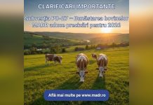 CLARIFICĂRI IMPORTANTE: Subvenția pentru Bunăstarea Bovinelor (PD-27)