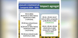 Plăți directe 2025: ajustări tehnice, venituri consolidate pentru fermieri
