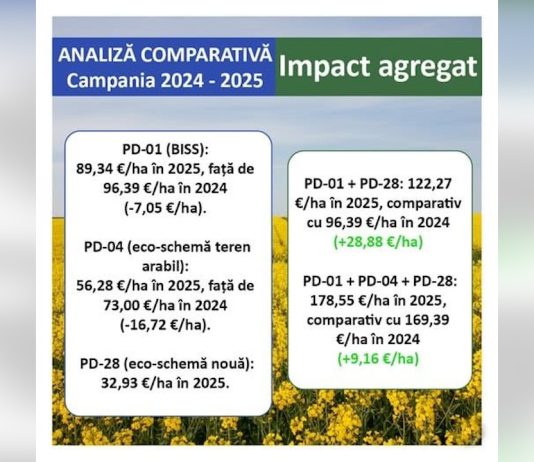 Plăți directe 2025: ajustări tehnice, venituri consolidate pentru fermieri