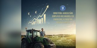 MADR: Proceduri debirocratizate și acces facilitat la fonduri europene