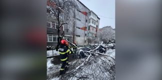 POMII AU CEDAT SUB GREUTATEA ZĂPEZII ȘI AU AVARIAT MAI MULTE MAȘINI