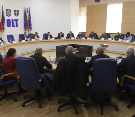 PROIECTE DE INTERES, APROBATE ÎN ȘEDINȚA ORDINARĂ A CJ OLT