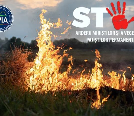 Este interzisă arderea miriştilor şi a vegetaţiei pajiştilor permanente