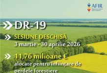 200.000 € pentru fermierii care doresc înființarea perdelelor naturale de protecție pentru culturile agricole