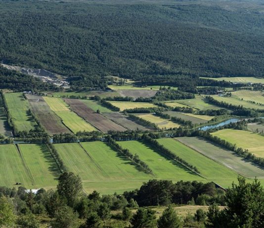 Informare privind schimbarea categoriei de folosință a terenurilor agricole situate în extravilan