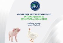APIA eliberează adeverințe pentru beneficiarii intervenției DR 06 – Bunăstarea animalelor