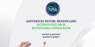 APIA eliberează adeverințe pentru beneficiarii intervenției DR 06 – Bunăstarea animalelor