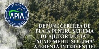 Cereri de plată pentru schema de ajutor de stat „Silvo-mediu și climă” aferentă Intervenției DR-07