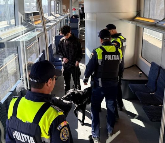 ACȚIUNI PREVENTIVE DESFĂȘURATE ÎN ZONA STAȚIILOR DE CALE FERATĂ ȘI ÎN TRENURILE DE CĂLĂTORI