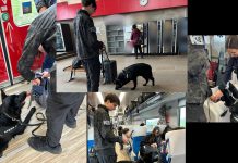 ACȚIUNE PENTRU PREVENIREA CRIMINALITĂȚII ÎN TRANSPORTUL FEROVIAR