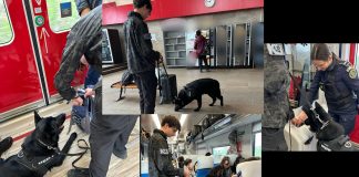 ACȚIUNE PENTRU PREVENIREA CRIMINALITĂȚII ÎN TRANSPORTUL FEROVIAR