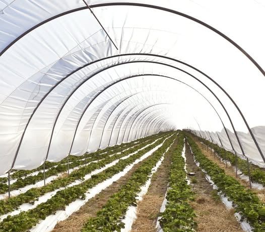 Ghidul solicitantului pentru DR-12 este publicat acum în consultare publică pe www.afir.ro.