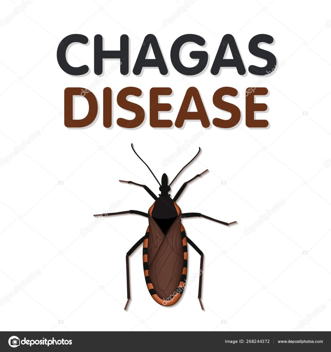 00b77ccd-ef08-4847-a1ad-ba0288d49b13