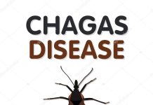 14 aprilie – Ziua Mondială a Bolii Chagas
