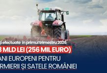 Peste 1,3 miliarde de lei plătite în primul trimestru al anului 2026!
