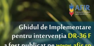 AFIR a publicat noua versiune a Ghidului de implementare a intervenției DR-36 F