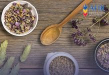 Fonduri nerambursabile pentru investiții în floricultură, plante medicinale și aromatice.
