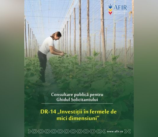Consultare publică pentru finanțarea investițiilor în fermele mici