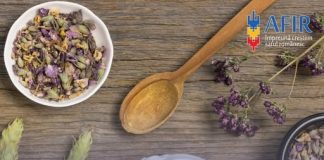 Fonduri nerambursabile pentru investiții în floricultură, plante medicinale și aromatice.