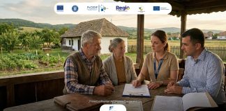 Alocația de plasament și indemnizația pentru tineri – două beneficii de asistență socială din sistemul de protecție specială