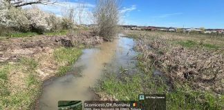 OPERATOR ECONOMIC AMENDAT CU 6000 DE LEI DE GNM OLT