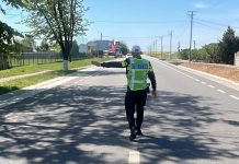 REZULTATELE ACȚIUNII PREVENTIVE DESFĂȘURATE PE DN 6