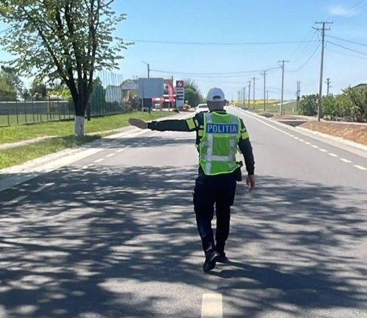 REZULTATELE ACȚIUNII PREVENTIVE DESFĂȘURATE PE DN 6