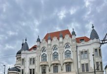 MAI continuă reforma serviciilor publice: informațiile despre permisul de conducere pot fi verificate online, rapid și sigur, prin HUB MAI