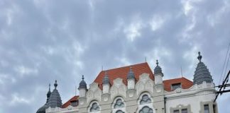MAI continuă reforma serviciilor publice: informațiile despre permisul de conducere pot fi verificate online, rapid și sigur, prin HUB MAI