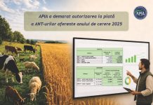 APIA a demarat autorizarea la plată a ANT-urilor aferente anului de cerere 2025