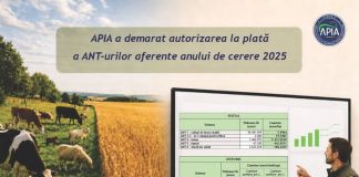 APIA a demarat autorizarea la plată a ANT-urilor aferente anului de cerere 2025