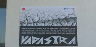 VĂDASTRA, GAZDA ARTEI CONTEMPORANE: STUDENȚII UNArte EXPUN ÎN INIMA COMUNITĂȚII