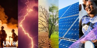 Ziua Mondială a Mediului 2026: apel global pentru acțiune climatică și protejarea naturii