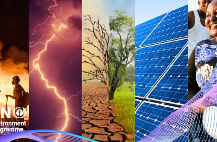 Ziua Mondială a Mediului 2026: apel global pentru acțiune climatică și protejarea naturii