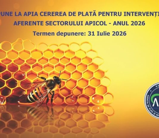 Apicultorii pot depune Cereri de plată pentru intervențiile din sectorul apicol 2026