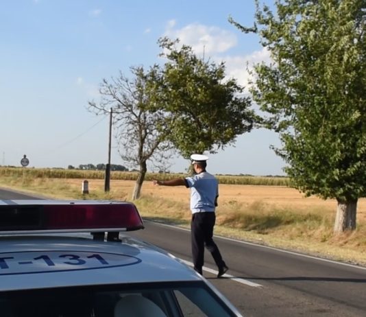 RAZIE ÎN OLT: AMENZI DE 90 000 DE LEI ȘI 17 PERMISE REȚINUTE