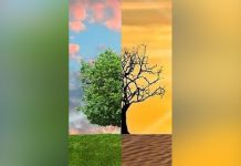 Schimbările climatice, în centrul activităților dedicate Zilei Mondiale a Mediului.