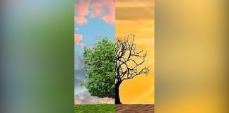 Schimbările climatice, în centrul activităților dedicate Zilei Mondiale a Mediului.