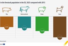 Dinamica efectivelor de animale în Uniunea Europeană. Ce ne arată cele mai recente date Eurostat?