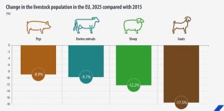 Dinamica efectivelor de animale în Uniunea Europeană. Ce ne arată cele mai recente date Eurostat?