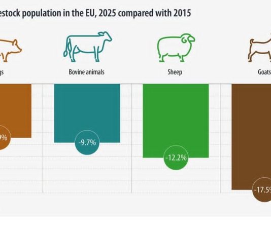 Dinamica efectivelor de animale în Uniunea Europeană. Ce ne arată cele mai recente date Eurostat?