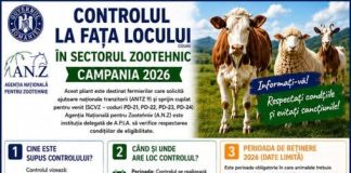 Ghidul controalelor la fața locului în sectorul zootehnic – Campania 2026