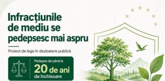 MMAP înăsprește sancțiunile pentru infracțiunile de mediu