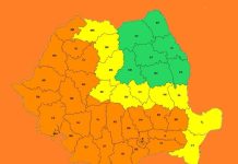 PLOI, VIJELII ȘI GRINDINĂ